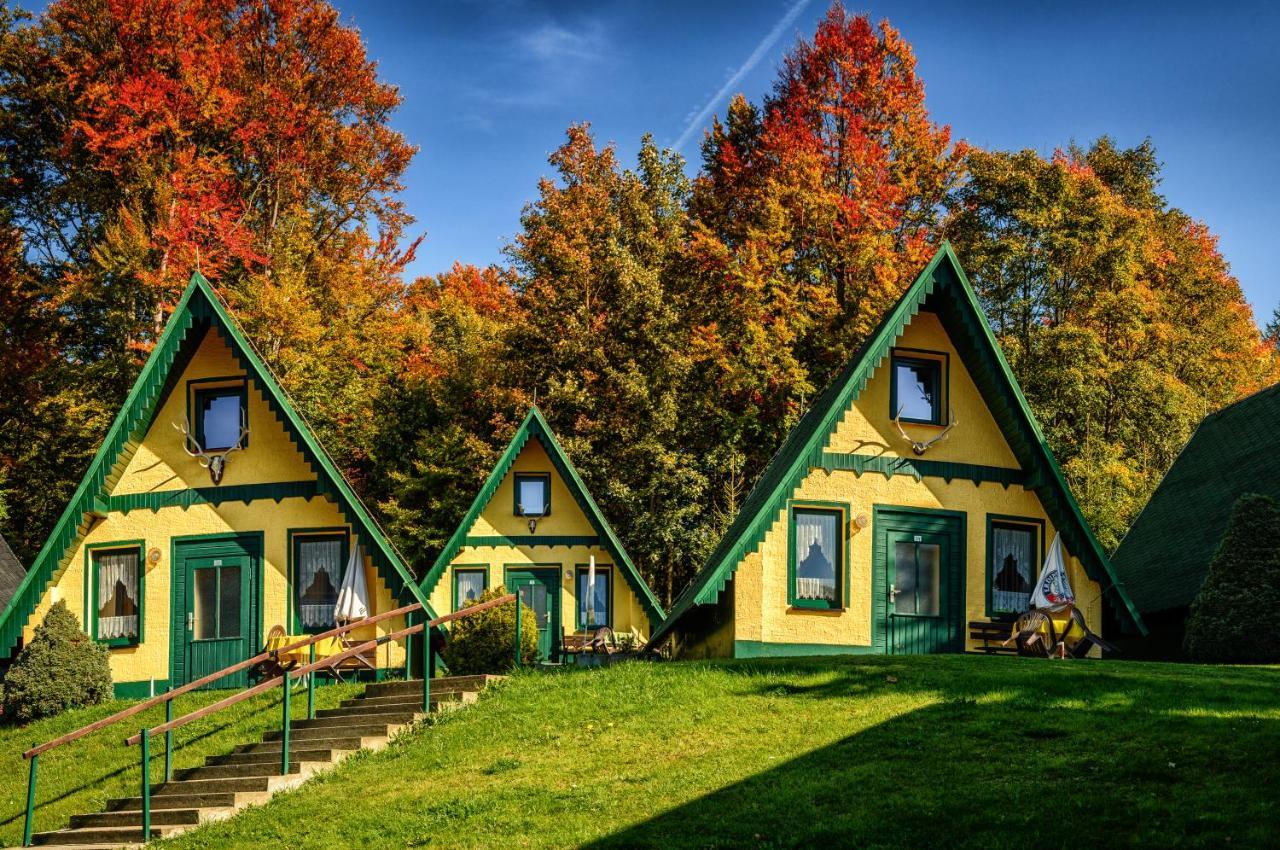 Goldhübel 3* Neuhausen (Saxony)
